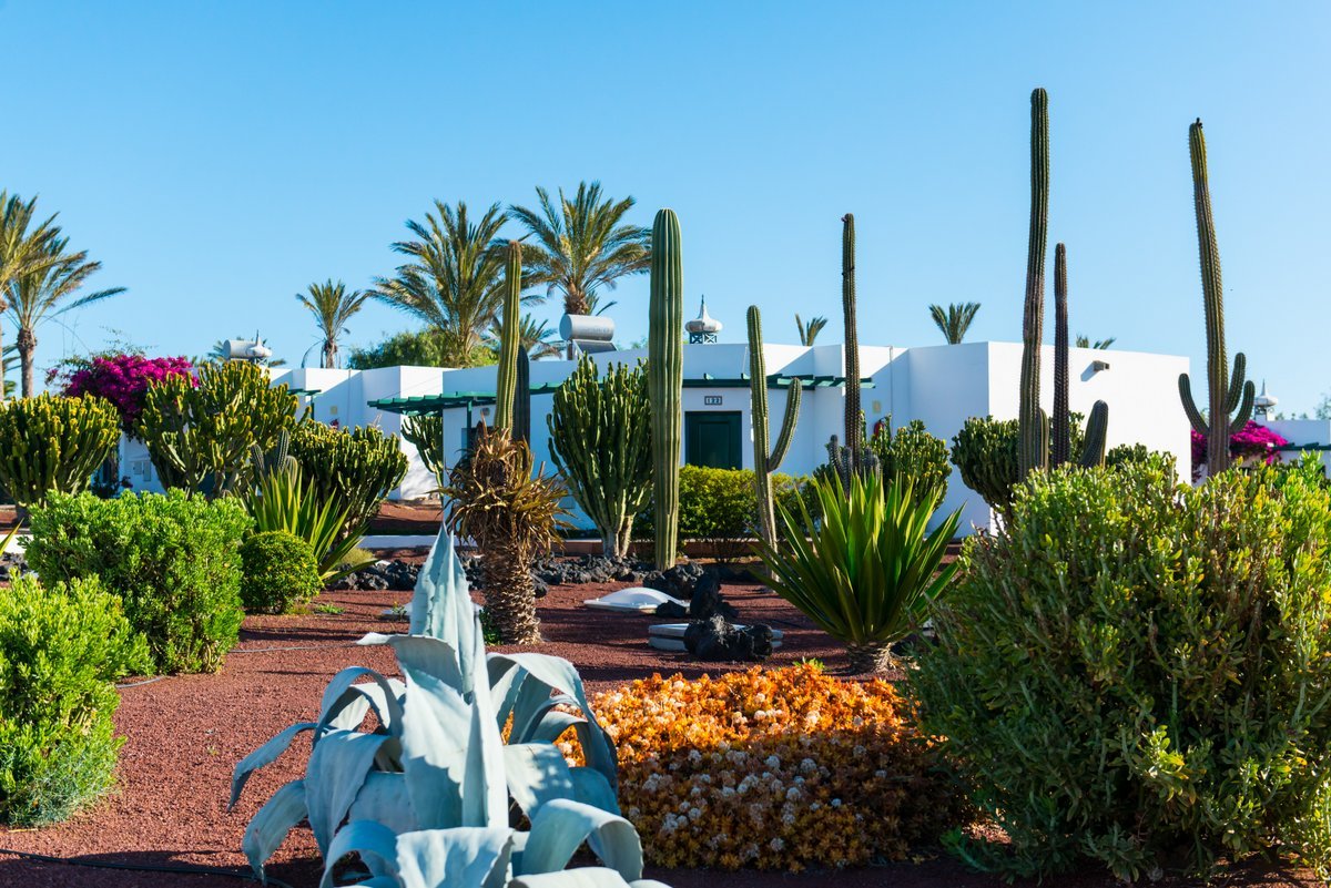 Hotel HL Club Playa Blanca - Lanzarote - 